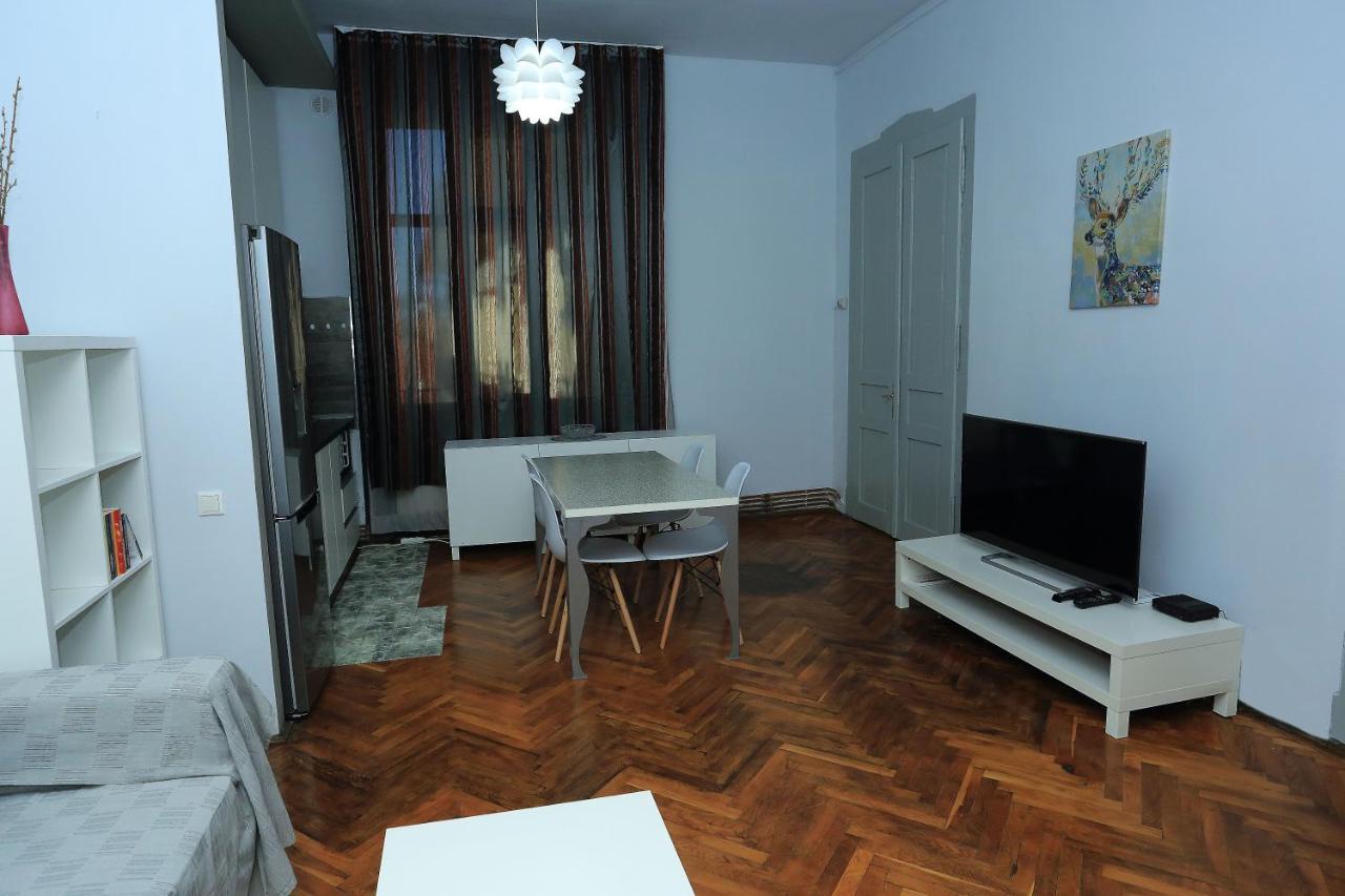 Napoca Central Apartment Kluż-Napoka Zewnętrze zdjęcie